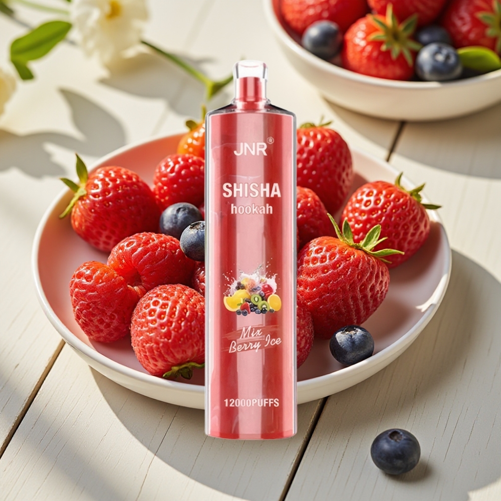 JNR Shisha Hookah 12000 Puffs Απορριπτέο Vape Μούρο Πάγο 750mAh