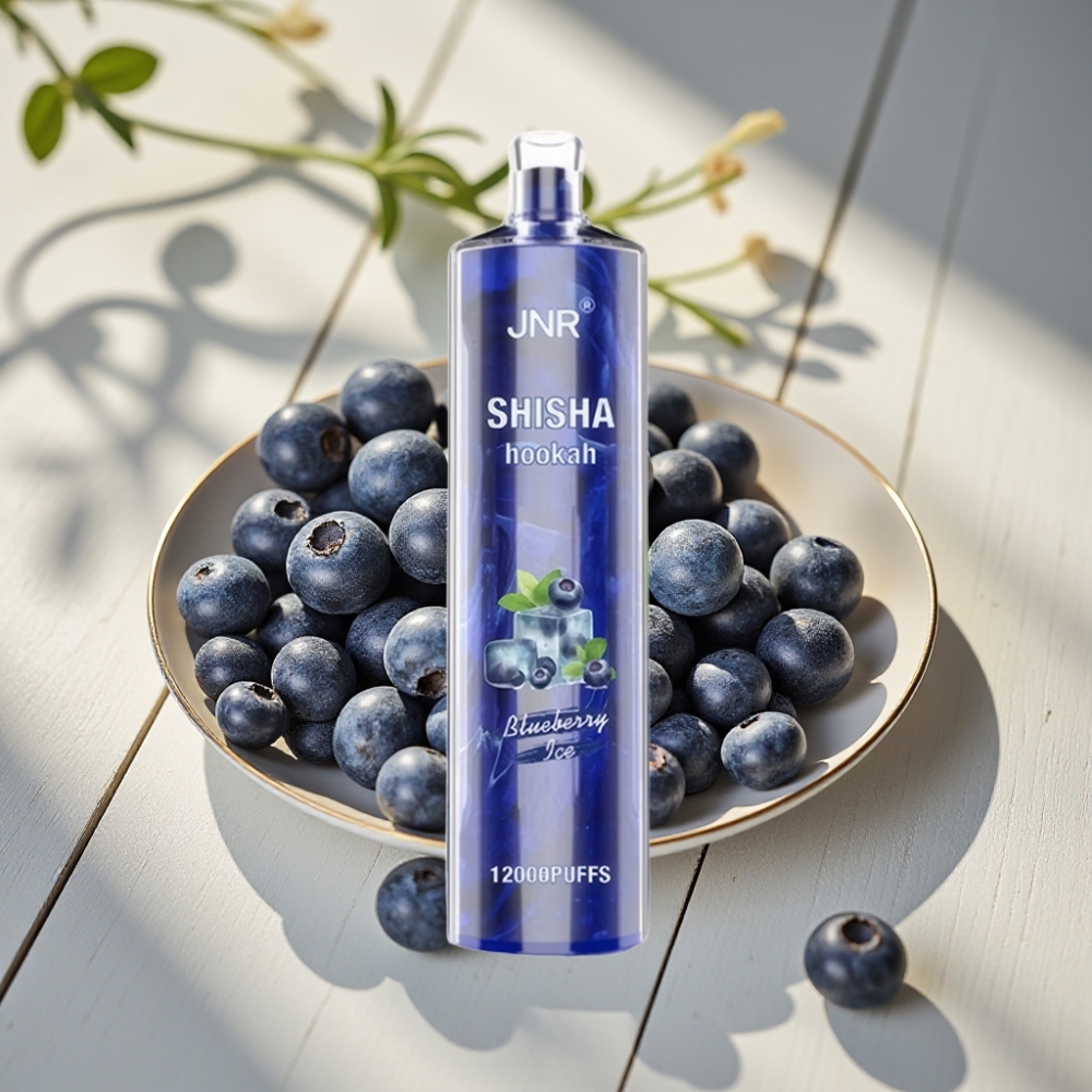 JNR Shisha Hookah 12000 Puffs Απορριπτέος Vape Μπλε Μούρο Πάγος 750mAh