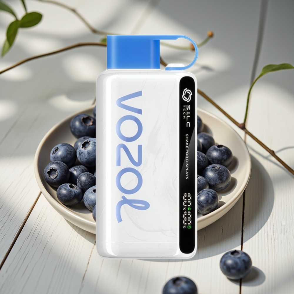 VOZOL STAR 9000/12000 Disposable Vape Θύελλα Βατόμουρου με S.i.L.C TECH & 650mAh