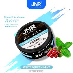 jnr ενεργειακές θήκες - JNR vape Greece - H228B106 χειμωνιάτικη μέντα