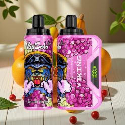 VapSolo VIKING 12000 Puffs Disposable Vape Καλοκαιρινό Όνειρο 22ml